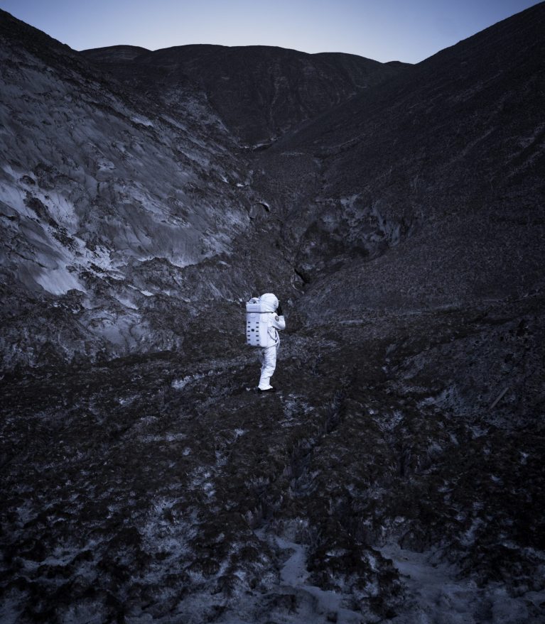 コスモスの響き